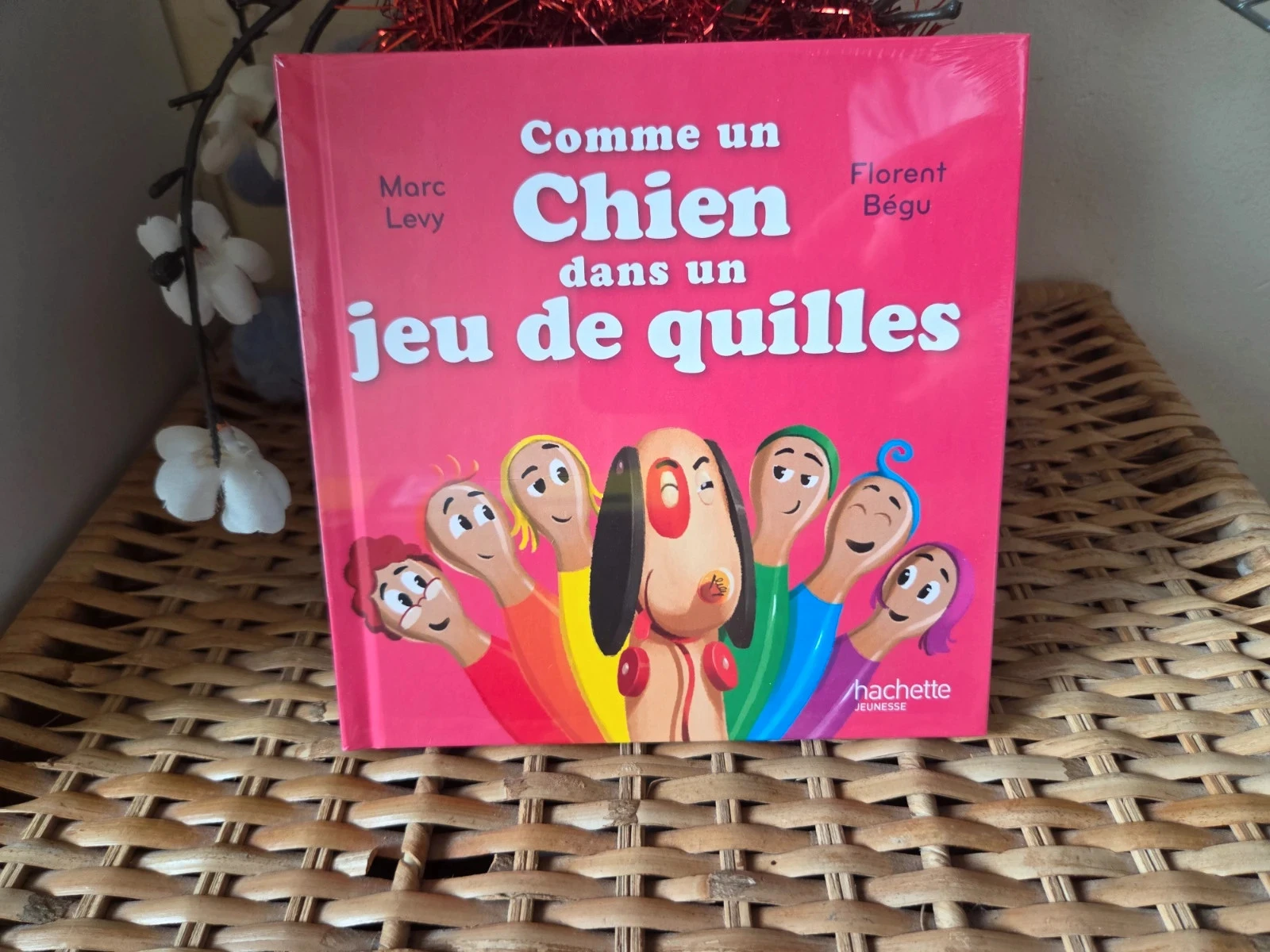 💜Comme un chien dans un jeu de quilles livre enfant
